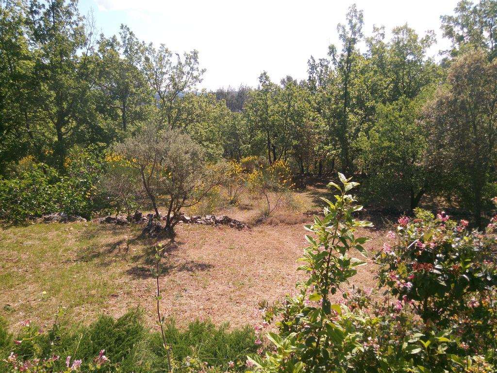 Gite Les Oliviers Cotignac Dış mekan fotoğraf
